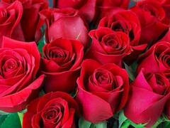 Κώλος, Μεγάλος κώλος, Ομοφυλόφιλος