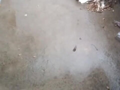 Hot Tamil Aunty Priyanka314 Morning Sex at Home - Indian Desi Working Wife Fuck