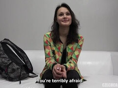 Bruinharig, Tsjechisch, Hd