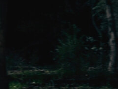 Csodálatos, Hatalmas hátsó, Tekintélyes didik, Fekete, Csizmák, Gesztenyebarna, Fétis, Nyalás