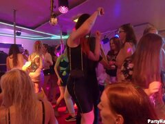 Chica, Mamada, Morena, Celebridad, Loco, Corridas, Corridas faciales, Grupo