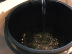 Kuusysi, Anaali, Blondi, Suihinotto, Kyrpä, Takaapäin, Eurooppalainen, Naamallinen