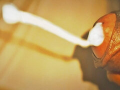 Amaterji, Zunanji izliv, Indijka, Samozadovoljevanje, Solo