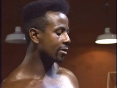 Kisbaba, Tekintélyes didik, Cumizás, Ondó fröcskölés, Fajok közötti, Pornósztárok, Nuni, Begyek