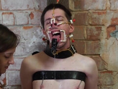 Mistress and her male slave femdom porn