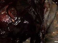 Pelea de gatas, Comida, Satén, Mojado