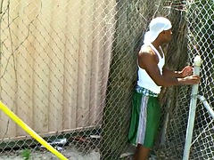 Любители, Анальный секс, Черные, Минет, Черненькие, Геи, На природе, На публике