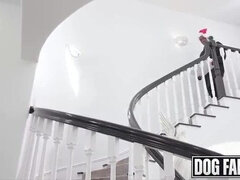 Velký zadek, Velké kozy, Kuřba, Dávení penisem, Péro, Na pejska, Mezirasové