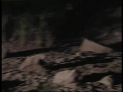 큰 가슴, 이상한, 금발의, 가슴이 큰, 사정 샷, 딜도, 오르가슴, 보지