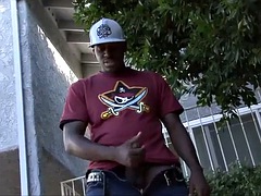 Store bryster, Sort, Pik sutte, Sort, Hårdt, Svømmepøl, Pornostjerner, Sutte