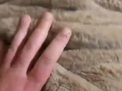 Amatőr, Popó, Cumizás, Latin lány, Begyek, Feleség