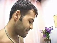 Tekintélyes didik, Cumizás, Gesztenyebarna, Latin lány, Begyek