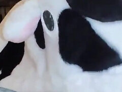 Amateur, Anal, Verga grande, Mamada, Condón, Pov, Montar