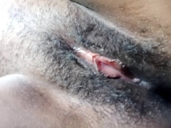 Amatéri, Vlasatej, Tehotná, Sólo