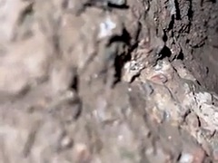 Velik kurac, Stopala, Fetiš, Smešno, Gej, Kosmate, Hardcore, Zunaj