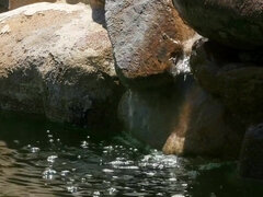 Kisbaba, Szőke, Sarokkal való, Nyalás, Szabadban, Nuni, Tetkó, Begyek