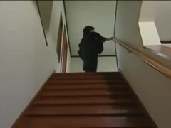 Amatør, Asiater, Babe, Japaner