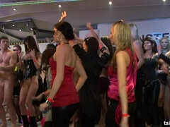 Amatőr, Fekete, Csókolózás, Fehérnemű, Buli, Nuni, Begyek, Nedves