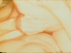 Monumentális dákó, Cumizás, Ondó fröcskölés, Arcra élvezés, Hd, Régebbi évjáratú pornó