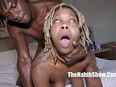 Amatööri, Iso kulli, Musta, Tumma, Latinankieli, Todellisuus