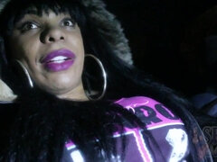 Popó, Kisbaba, Tekintélyes didik, Fekete, Cumizás, Gesztenyebarna, Hd, Nyilvános