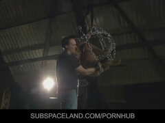 Kötözés – fegyelmezés, Cumizás, Gesztenyebarna, Cseh, Uralkodás, Fétis, Durva, Fenekelés